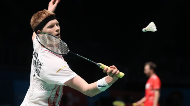 贝尔纳多 贝尔纳多