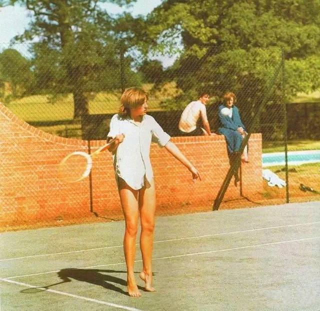 的稳定力量 的稳定力量